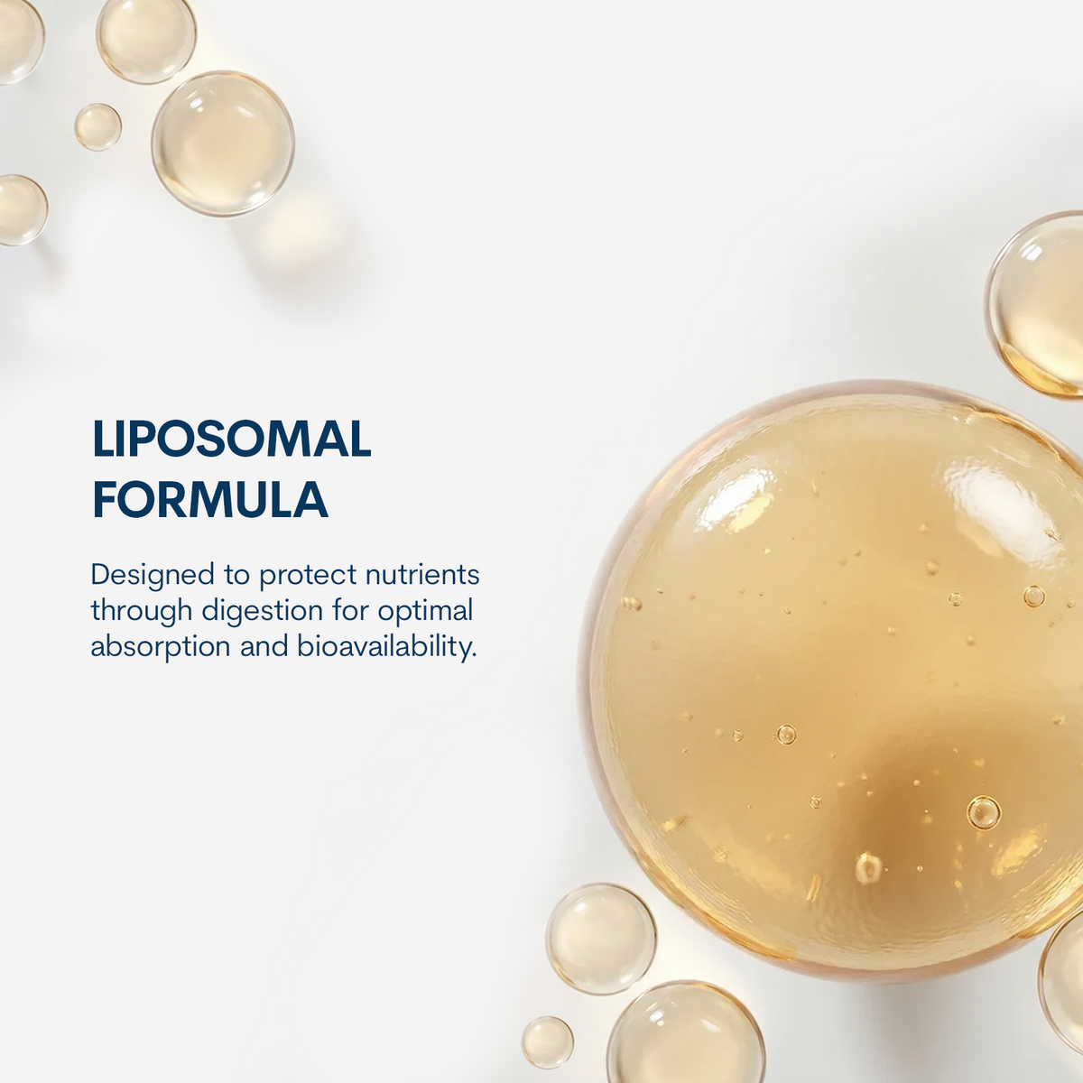 Liposomal Curcumin 250 mg - Liquid (6 FL OZ/ 30 Servings)