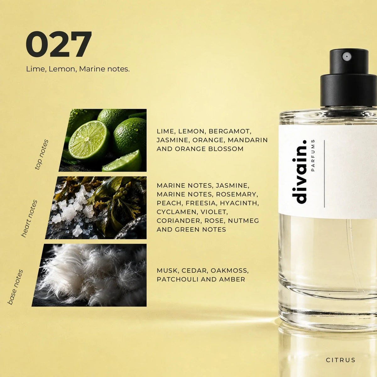 divain. 027