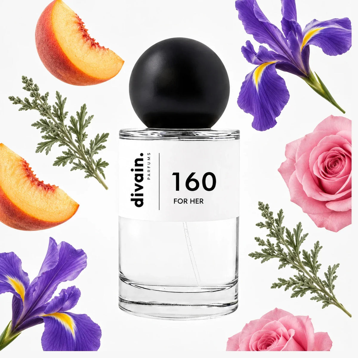 divain. 160