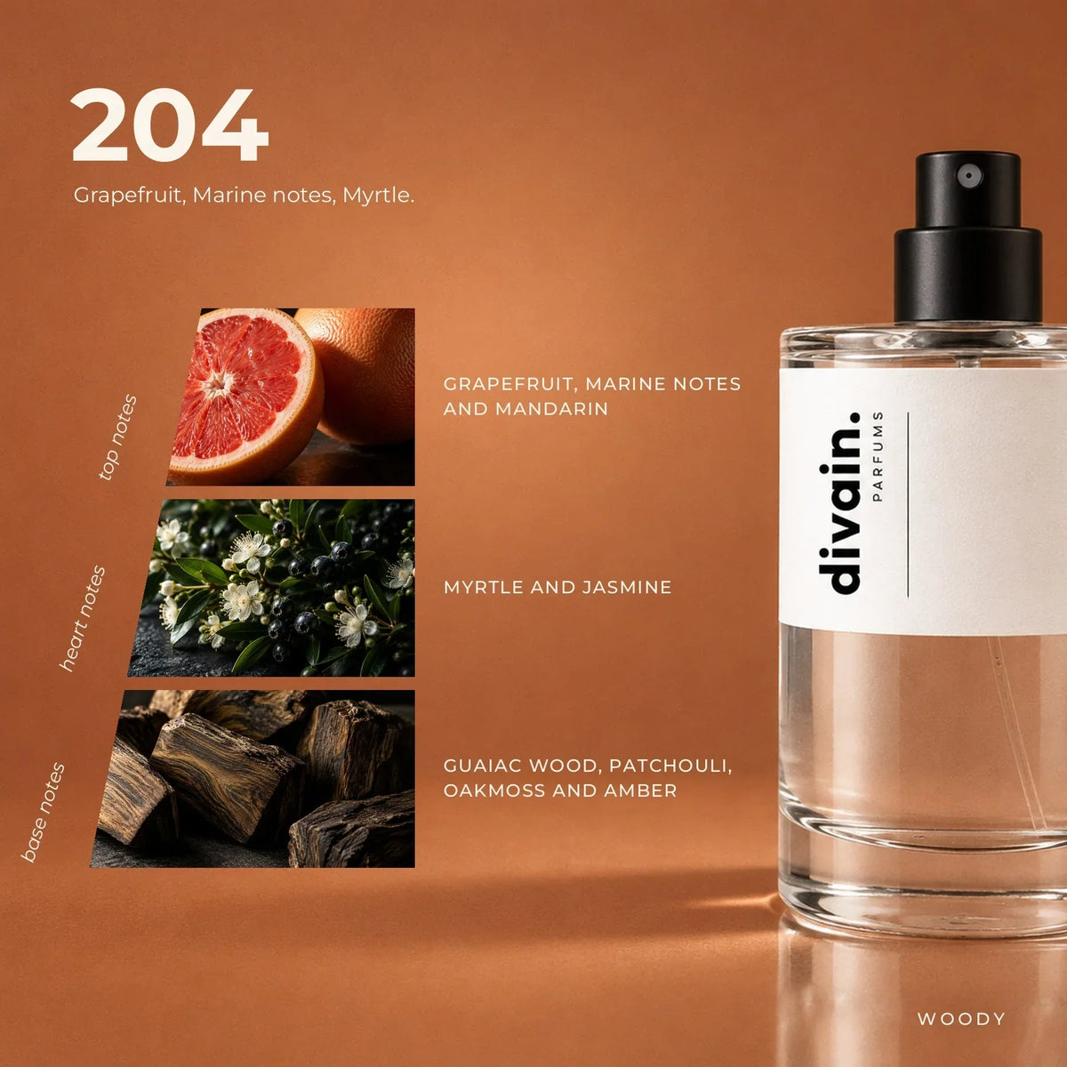divain. 204