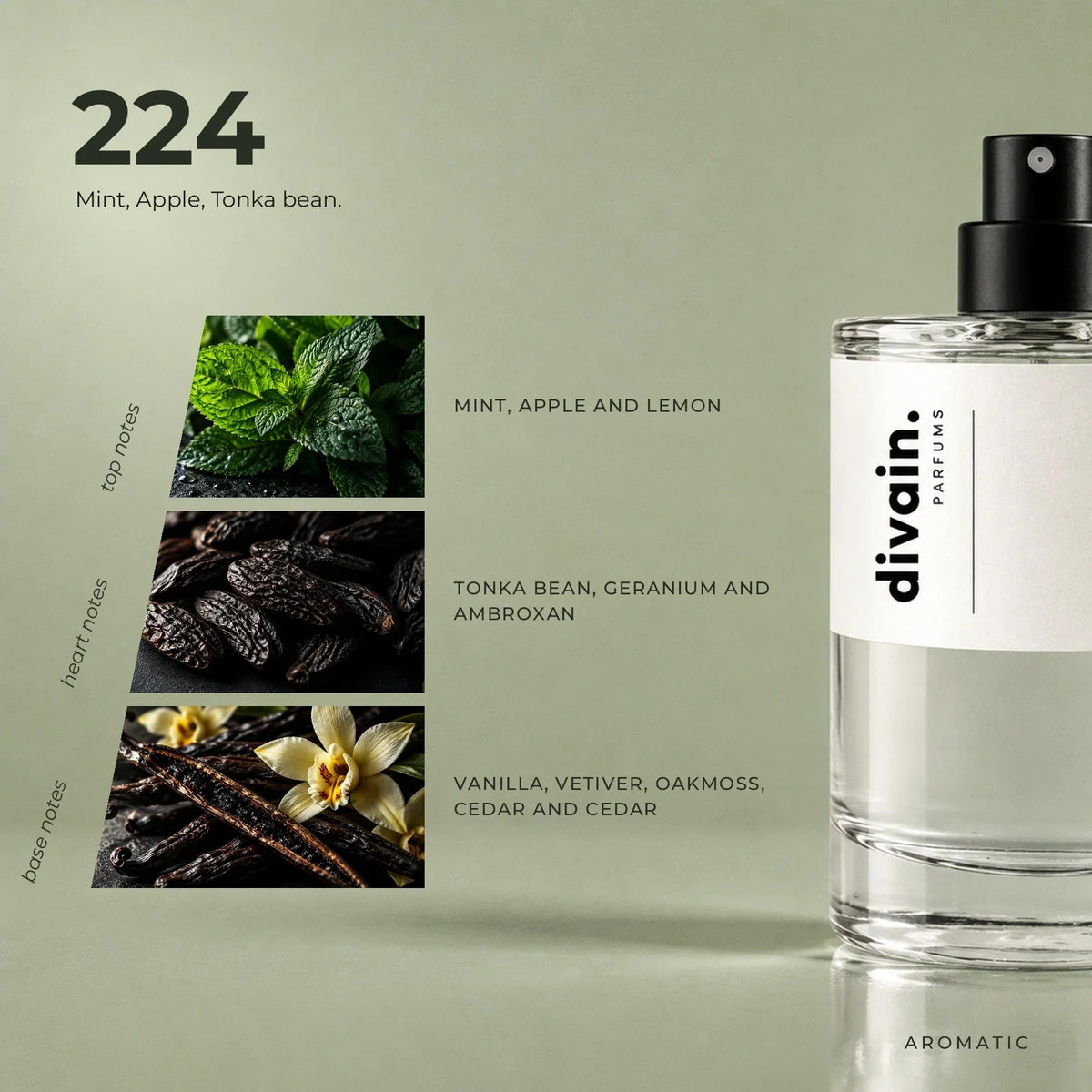 divain. 224