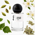 divain. 250