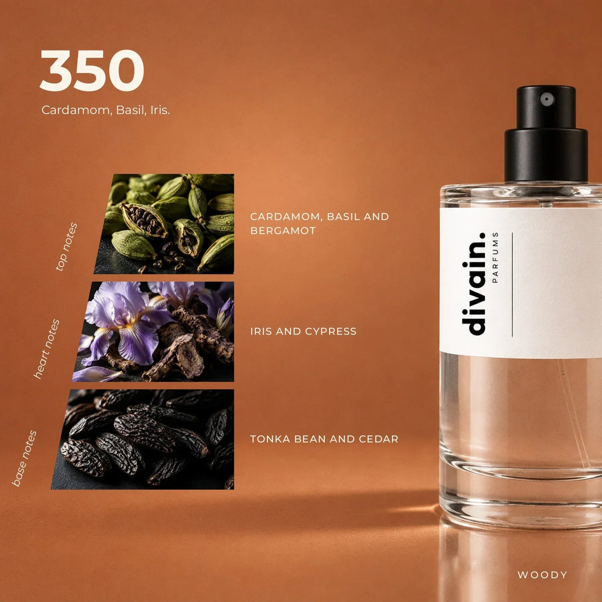 divain. 350