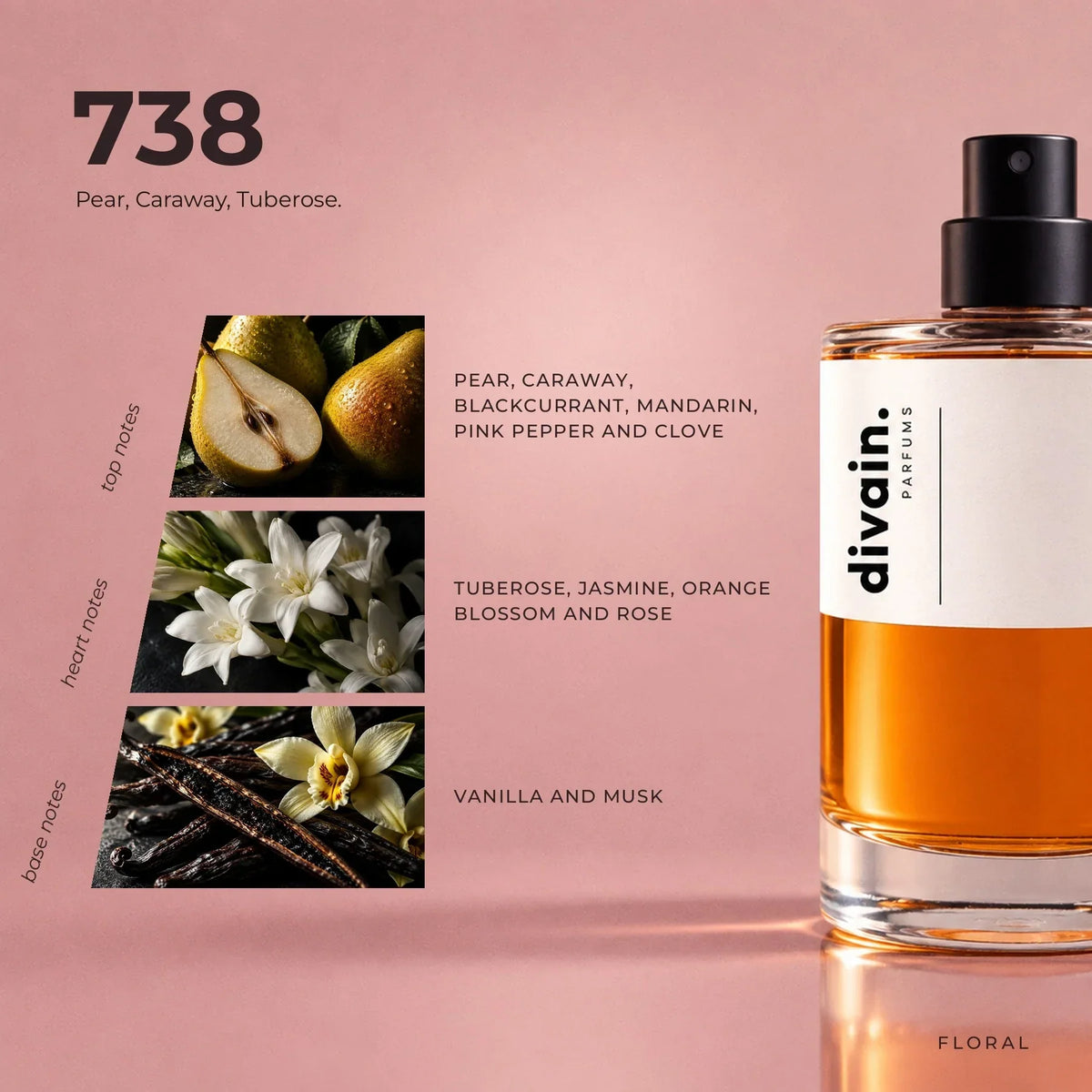 divain. 738