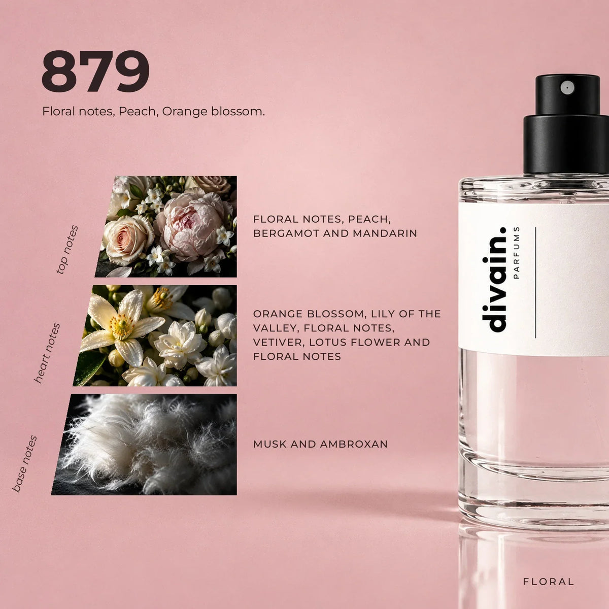 divain. 879